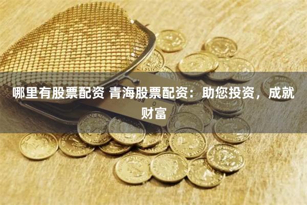哪里有股票配资 青海股票配资：助您投资，成就财富