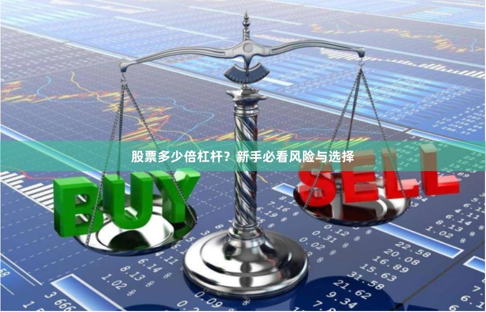 股票多少倍杠杆？新手必看风险与选择