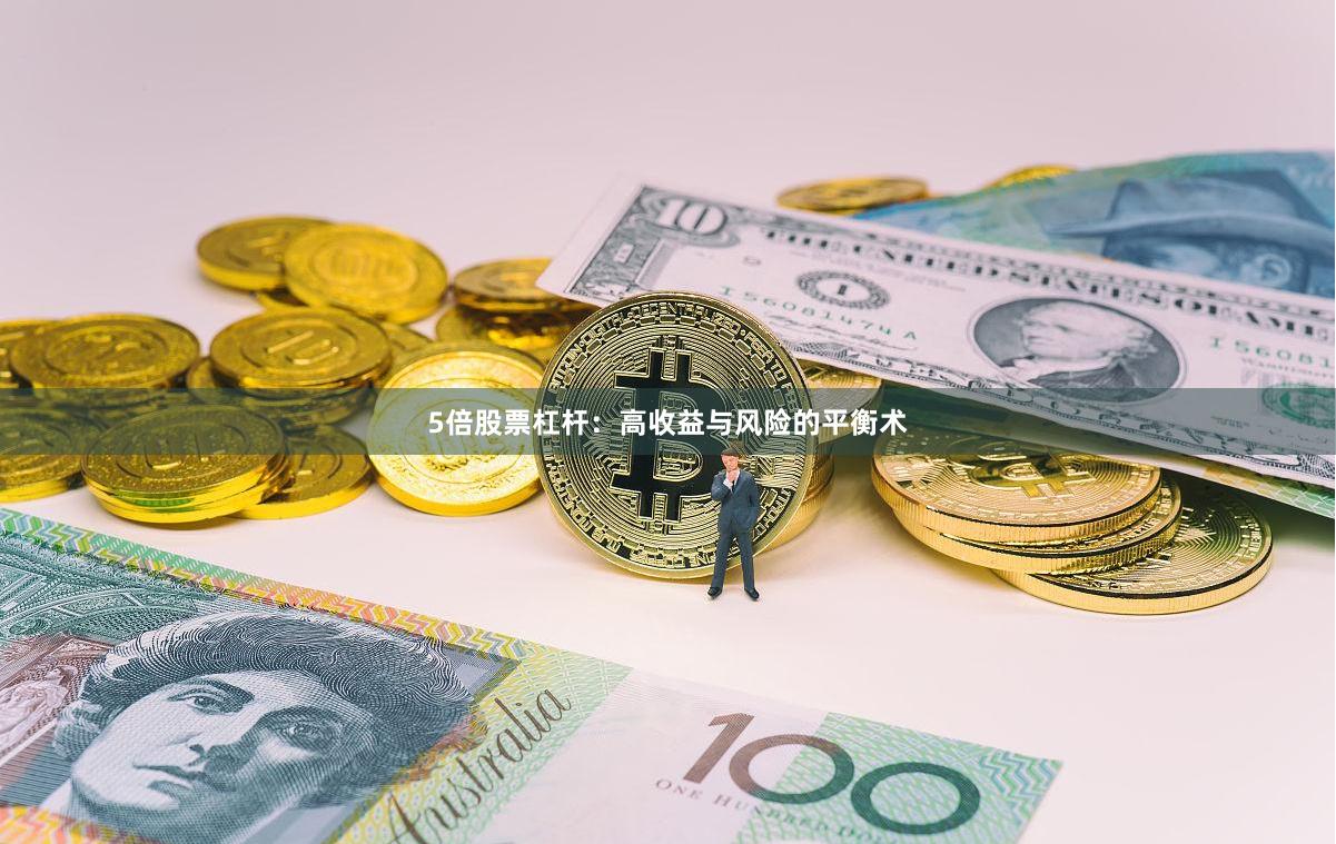 5倍股票杠杆：高收益与风险的平衡术