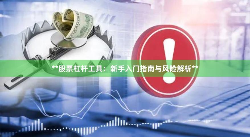 **股票杠杆工具：新手入门指南与风险解析**