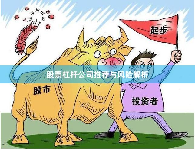 股票杠杆公司推荐与风险解析