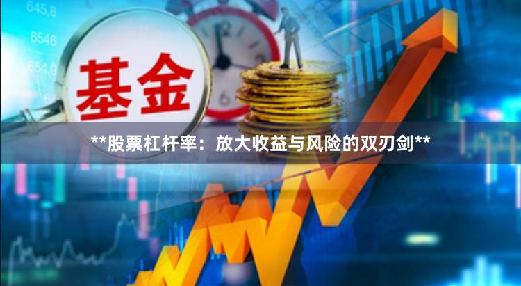 **股票杠杆率：放大收益与风险的双刃剑**