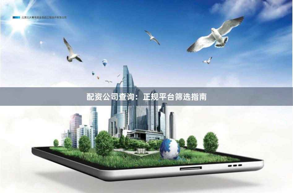 配资公司查询：正规平台筛选指南